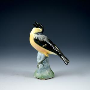 Little Bird